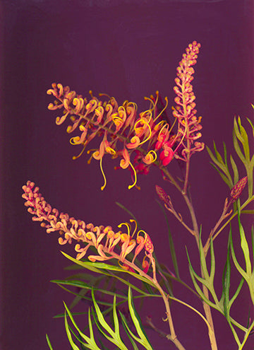 Grevillea